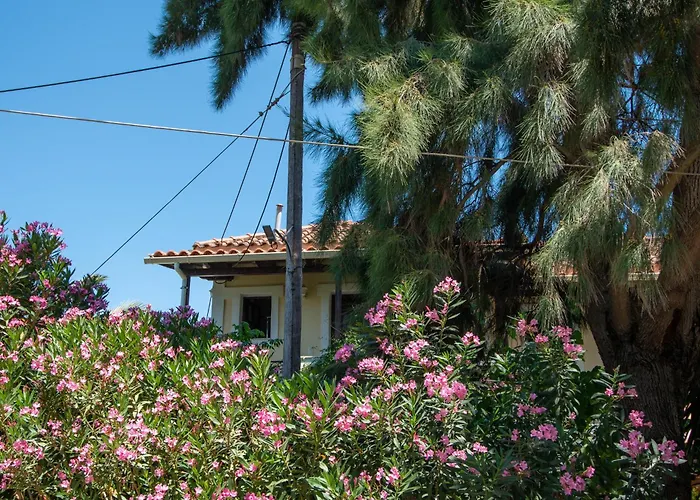 Hara Studios